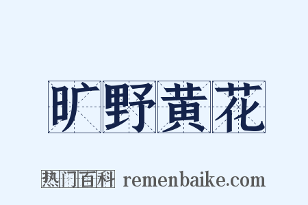旷野黄花是什么意思的图片